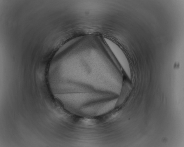 X0000091880221200710031748