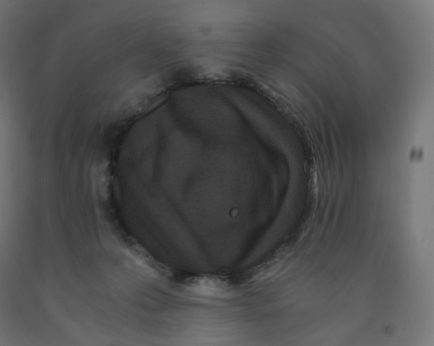 X0000091880223200710031748