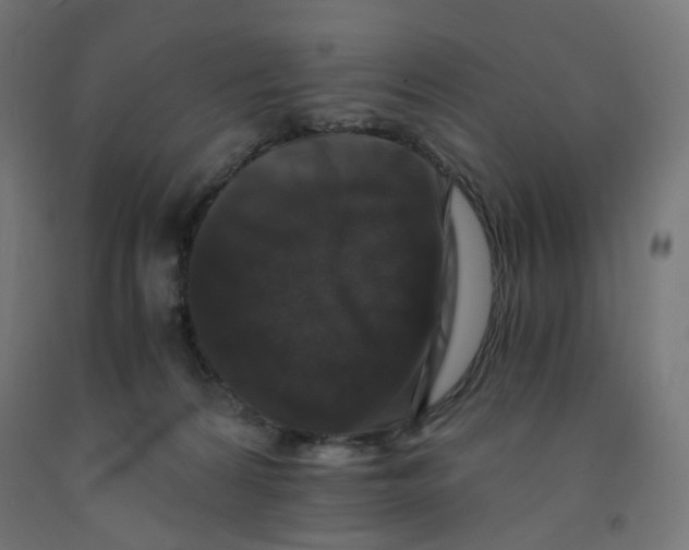 X0000091880224200710031748