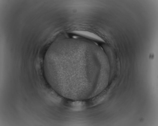 X0000091880225200710031748