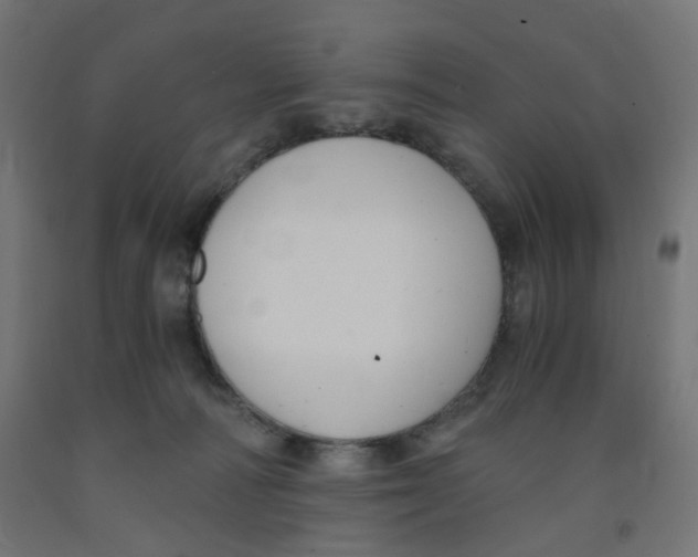 X0000091880226200710031748