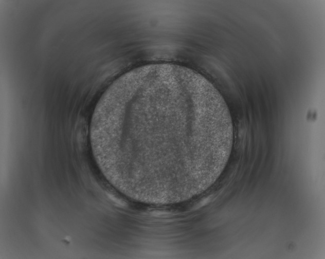 X0000091880228200710031748