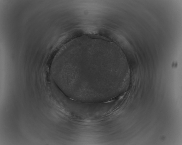 X0000091880229200710031748