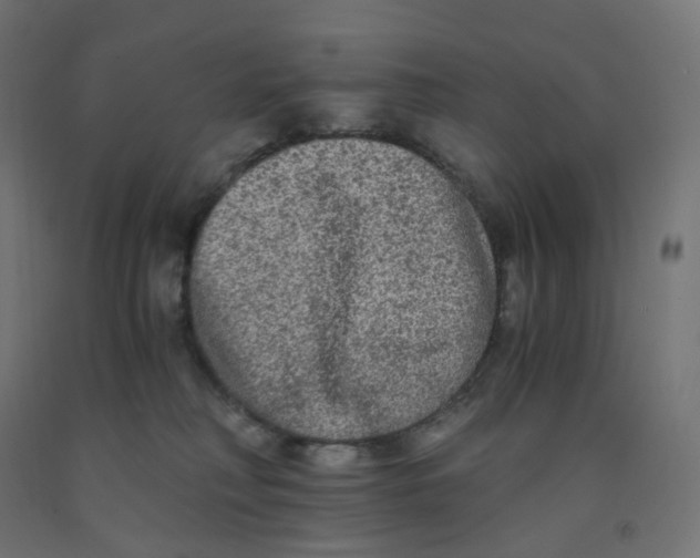 X0000091880230200710031748