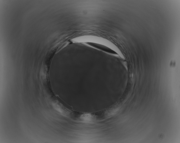 X0000091880231200710031748