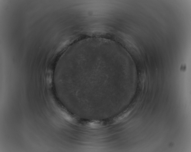 X0000091880232200710031748