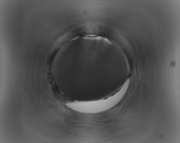 X0000091880233200710031748