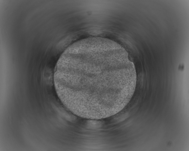 X0000091880234200710031748