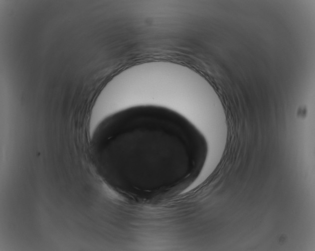 X0000091880235200710031748