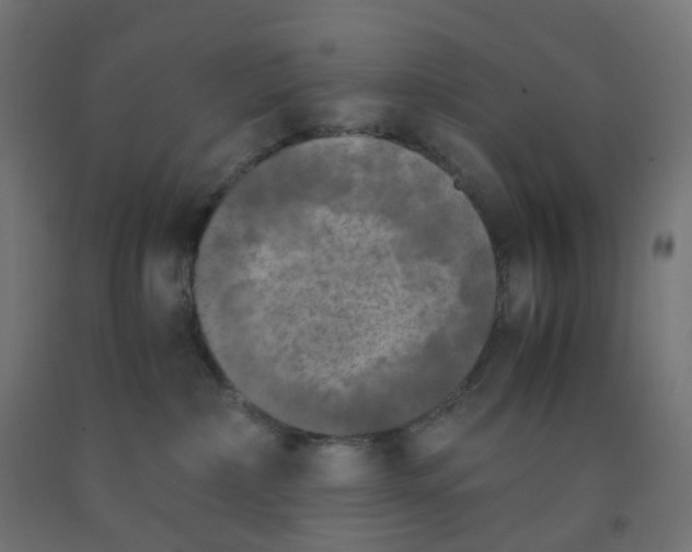 X0000091880236200710031748