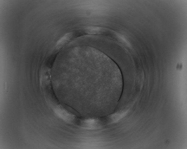 X0000091880237200710031748