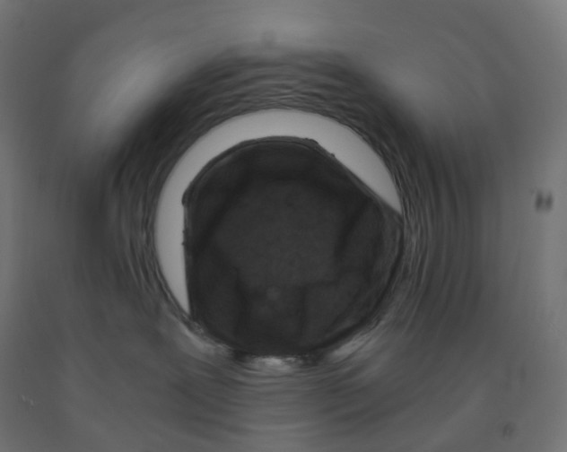 X0000091880239200710031748