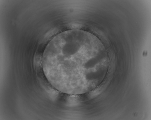 X0000091880240200710031748