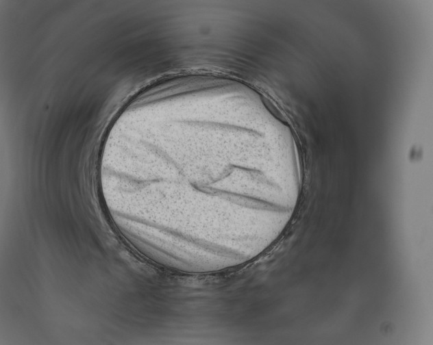 X0000091880241200710031747