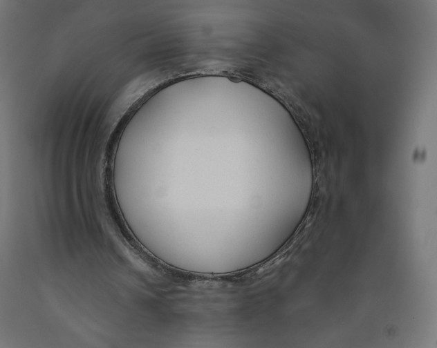 X0000091880242200710031747