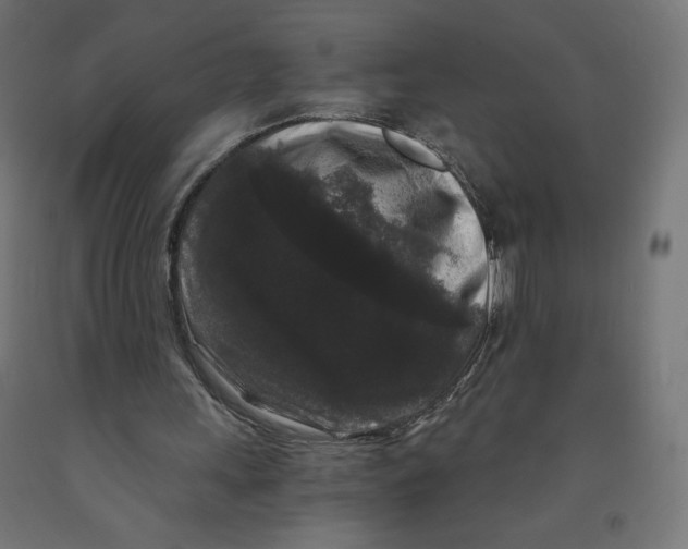 X0000091880243200710031747