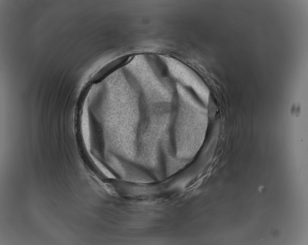 X0000091880244200710031747