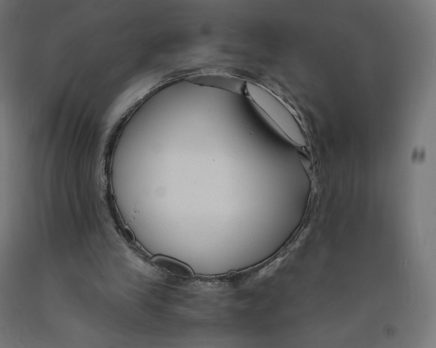 X0000091880245200710031747