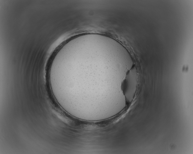 X0000091880246200710031747