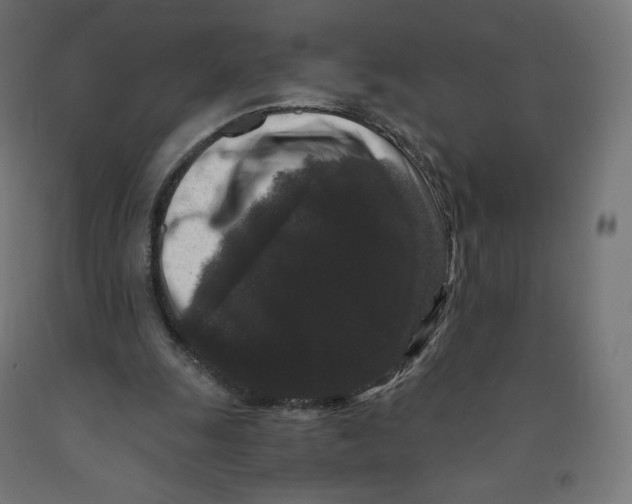 X0000091880247200710031747