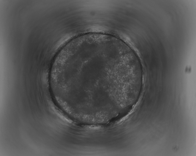 X0000091880249200710031747