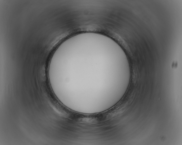 X0000091880251200710031747