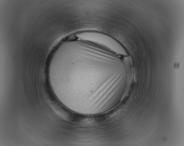 X0000091880252200710031747