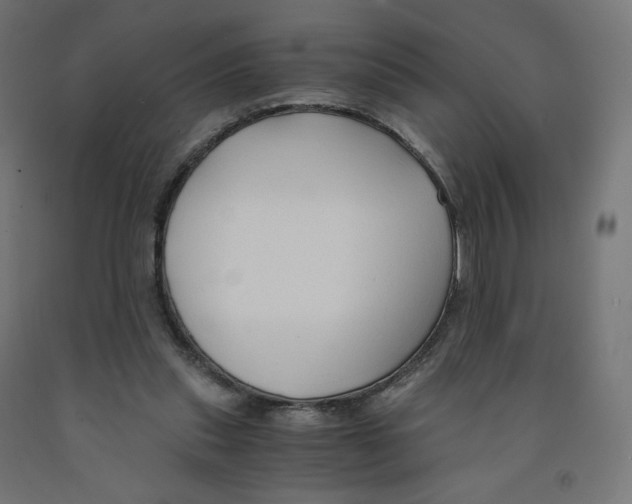 X0000091880253200710031747