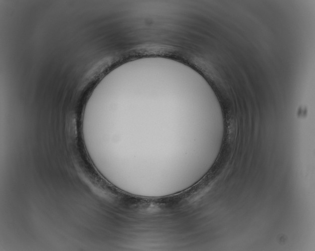 X0000091880254200710031747