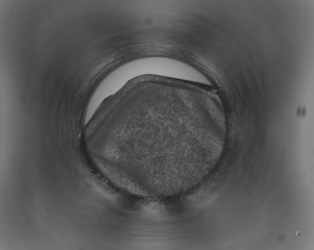 X0000091880258200710031747