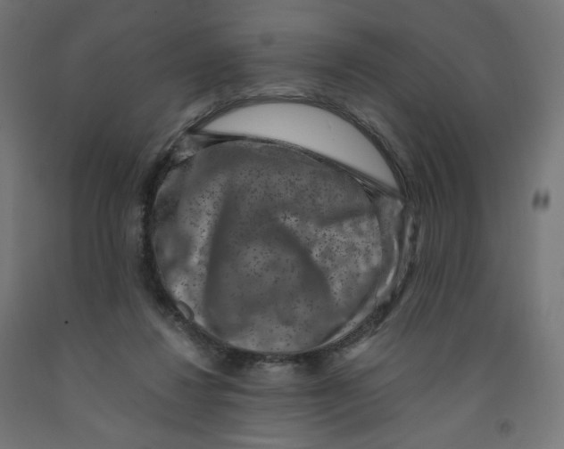 X0000091880260200710031747