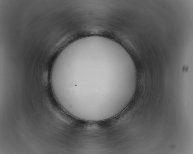 X0000091880262200710031747