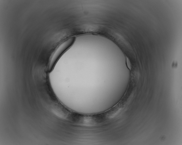 X0000091880264200710031747