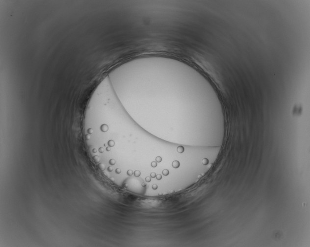 X0000091880265200710031747