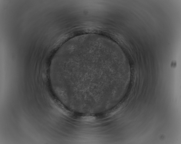 X0000091880266200710031747