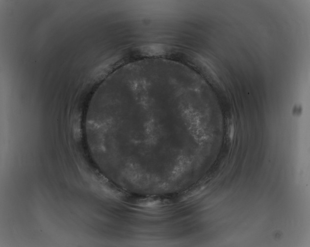 X0000091880267200710031747