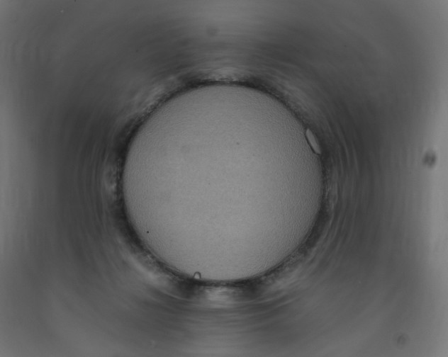 X0000091880268200710031748