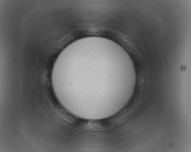 X0000091880270200710031748