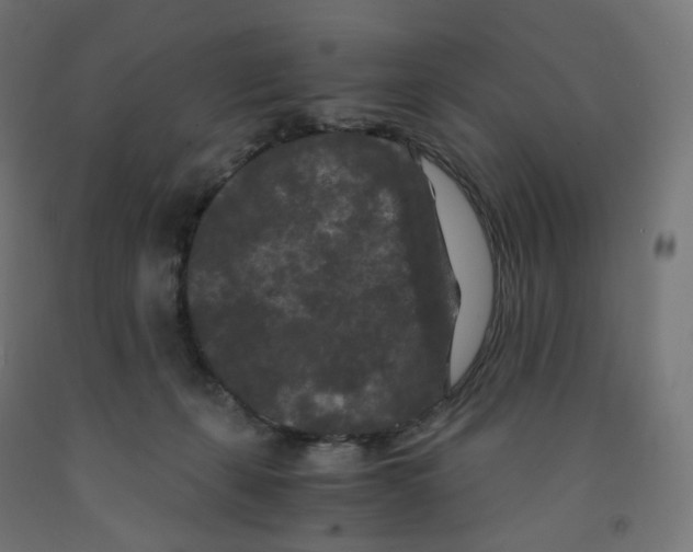 X0000091880271200710031748