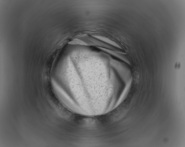 X0000091880272200710031748