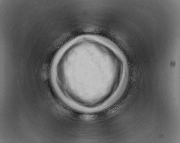 X0000091880273200710031748