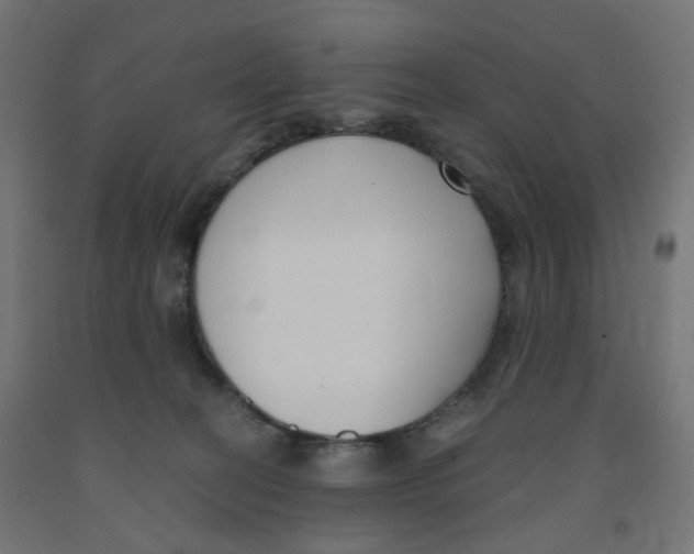 X0000091880274200710031748