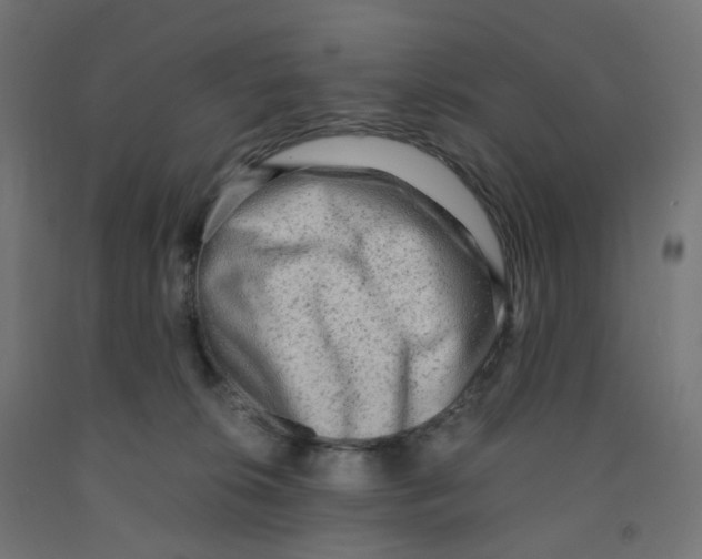 X0000091880276200710031748