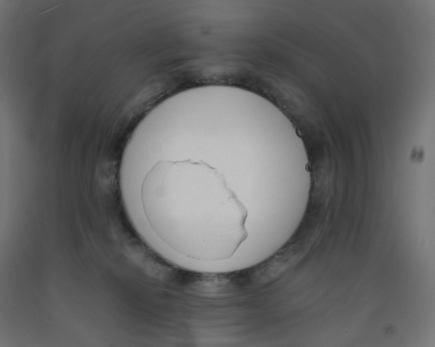 X0000091880278200710031748