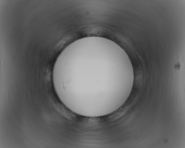 X0000091880282200710031748