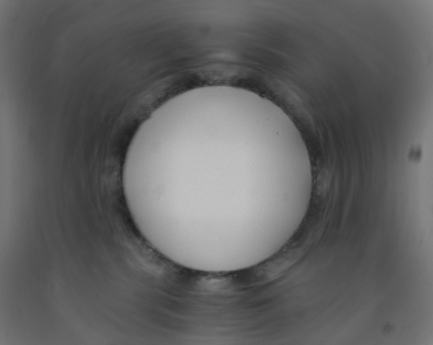 X0000091880283200710031748