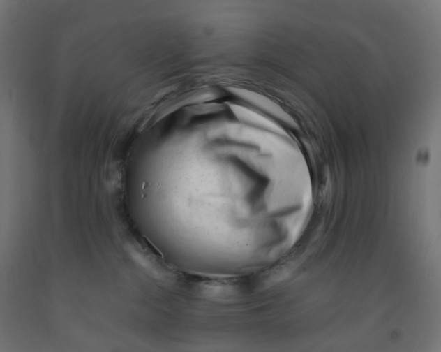 X0000091880284200710031748