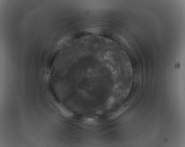 X0000091880285200710031748