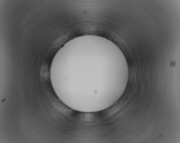 X0000091880287200710031748