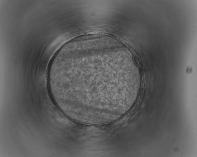 X0000091880290200710031747